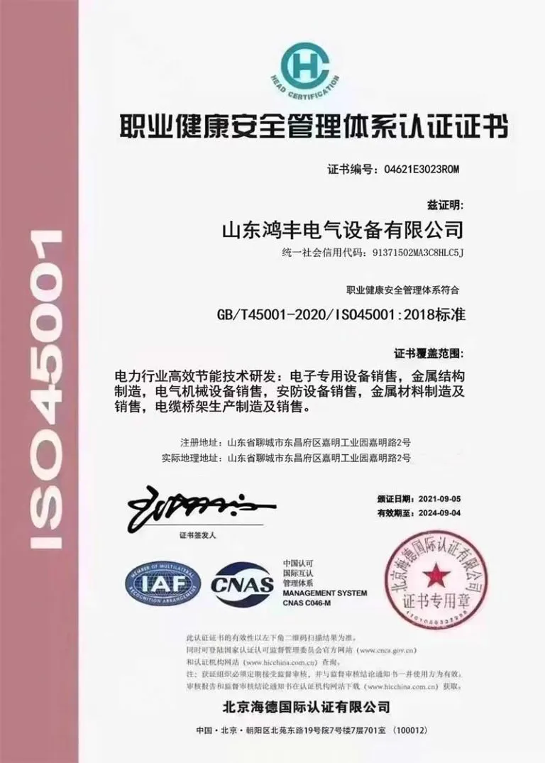 Certificate (3)